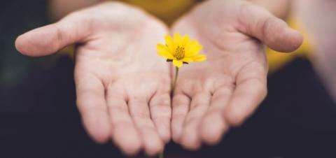 hands with flower