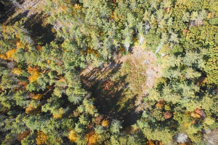An image showing an aerial view of a forest; image was taken by an unpiloted aerial system, or UAS.